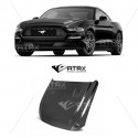 Cofre Tomas Aire Carbono Super Snake Anderson Ford Mustang 2018