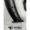 Aleron Wing Carbono Dry Tipo GT Audi R8 2017 - 2024