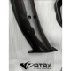 Aleron Wing Carbono Dry Tipo GT Audi R8 2017 - 2024