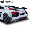 Aleron Wing Carbono Dry Tipo GT Audi R8 2017 - 2024