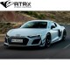 Aleron Wing Carbono Dry Tipo GT Audi R8 2017 - 2024
